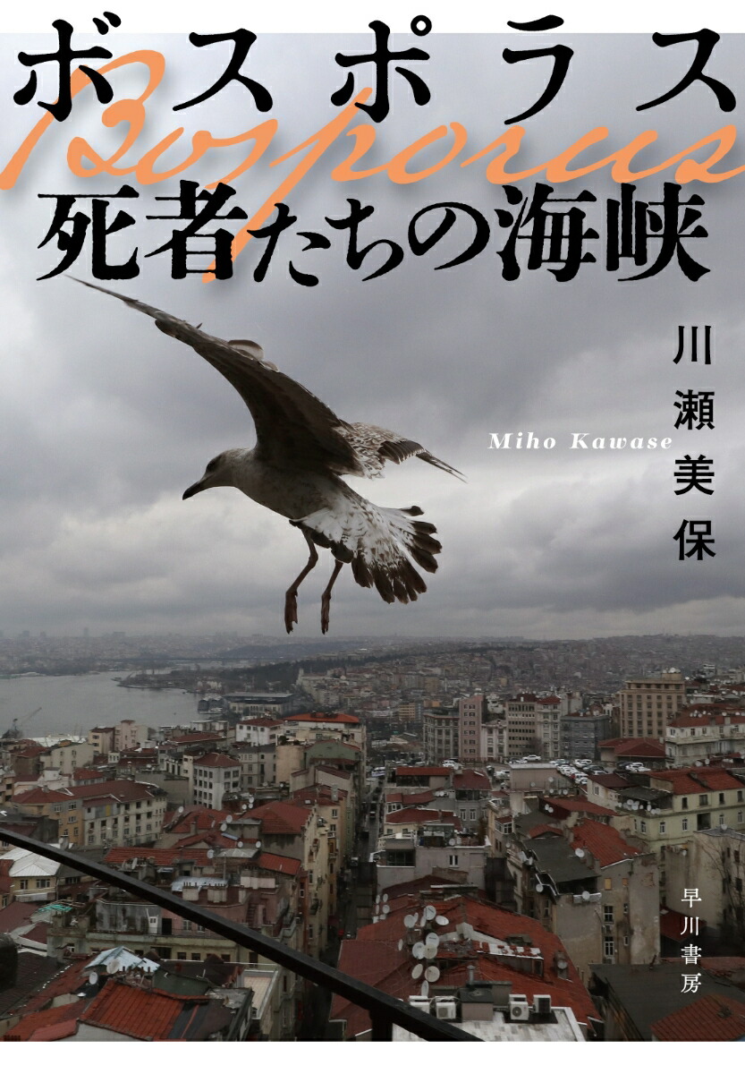 ボスポラス　死者たちの海峡画像