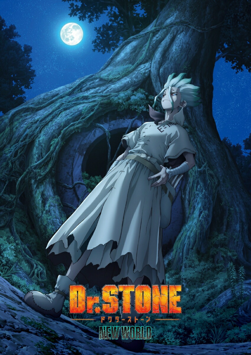 楽天ブックス: Dr.STONE ドクターストーン 3rd SEASON Blu-ray BOX 2