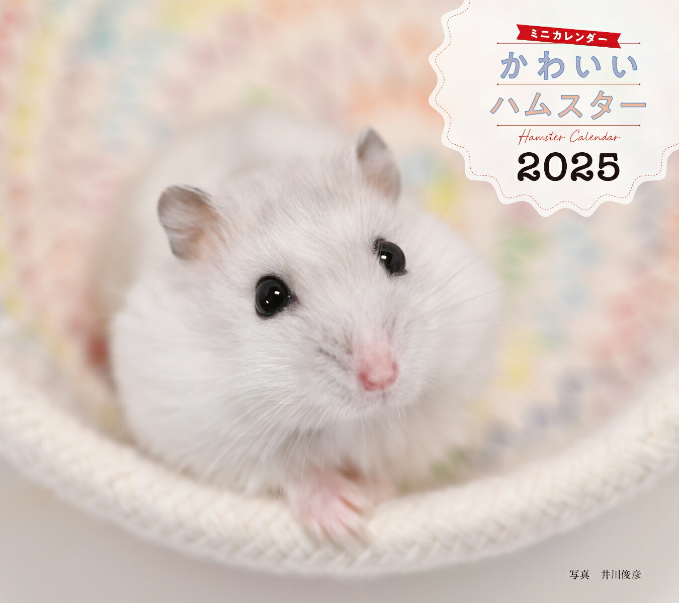 2025ǯ襤ϥॹʸƲҥ[ɧ]
