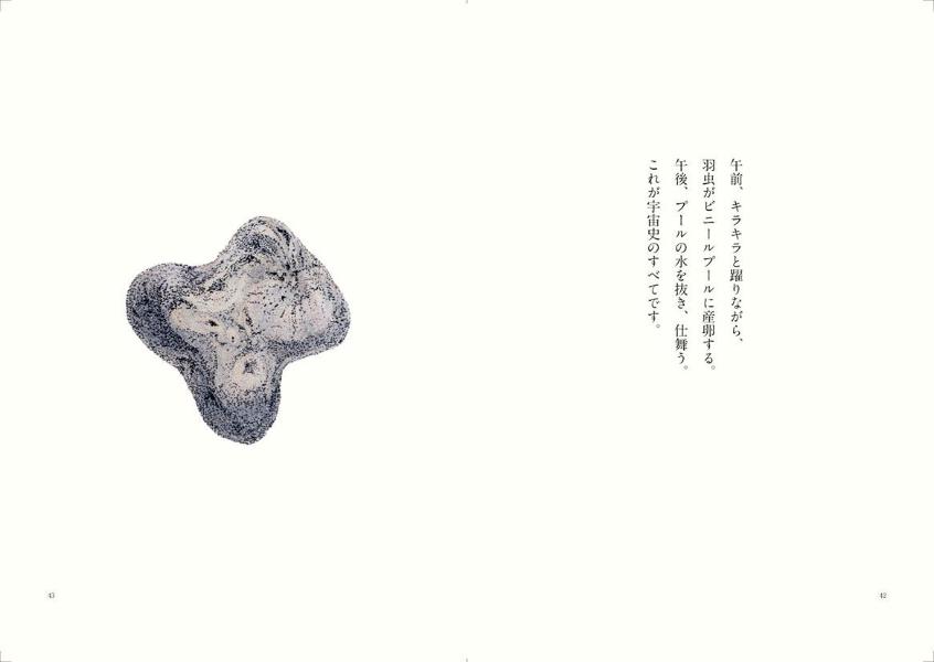 宝石の国（13）特装版（講談社キャラクターズA）[市川春子]