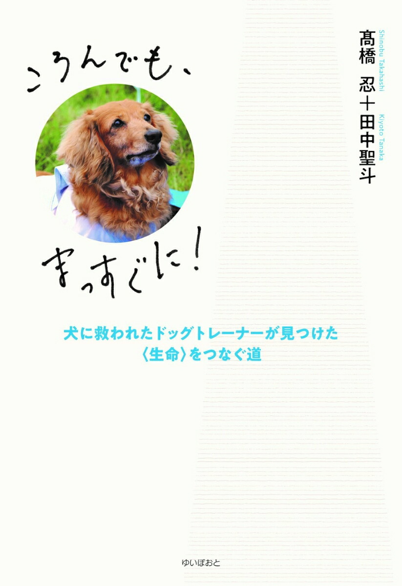 楽天ブックス ころんでも まっすぐに 高橋 忍 本