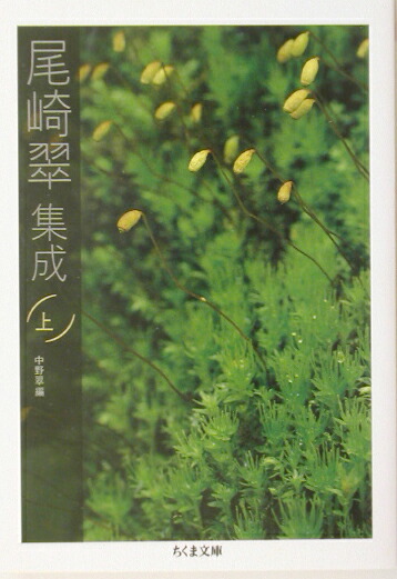 Amazon.co.jp: AF_20A_0248_ 尾崎翠全集 2冊セット