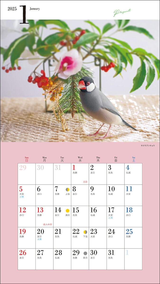 2025ǯ�����������襤��ʸĻ����ʸƲ�����ҥ���������[��ƣ�����]