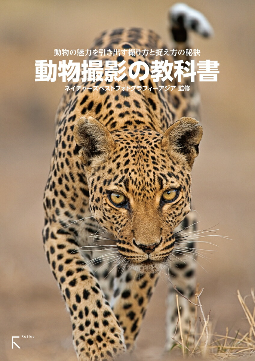 楽天ブックス 動物撮影の教科書 ネイチャーズベストフォトグラフィーアジア 本
