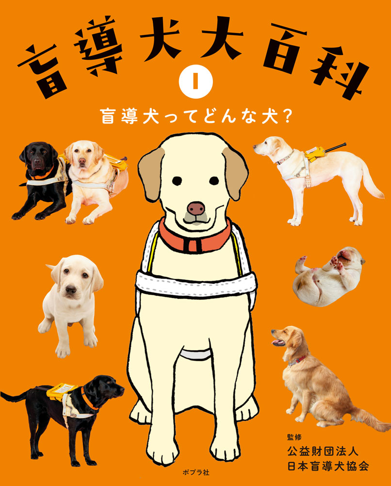 盲導犬ってどんな犬？画像