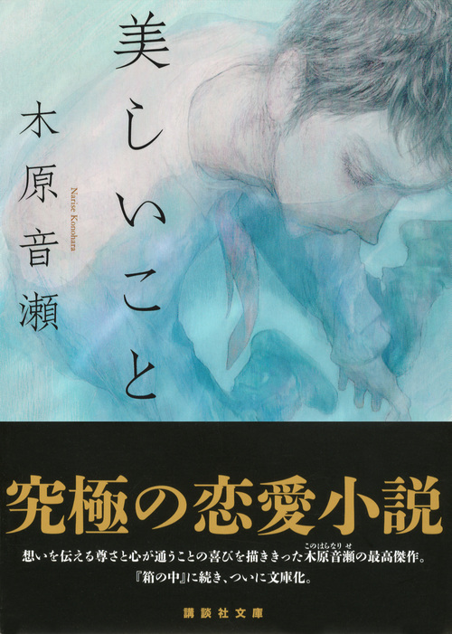 楽天ブックス 美しいこと 木原 音瀬 本