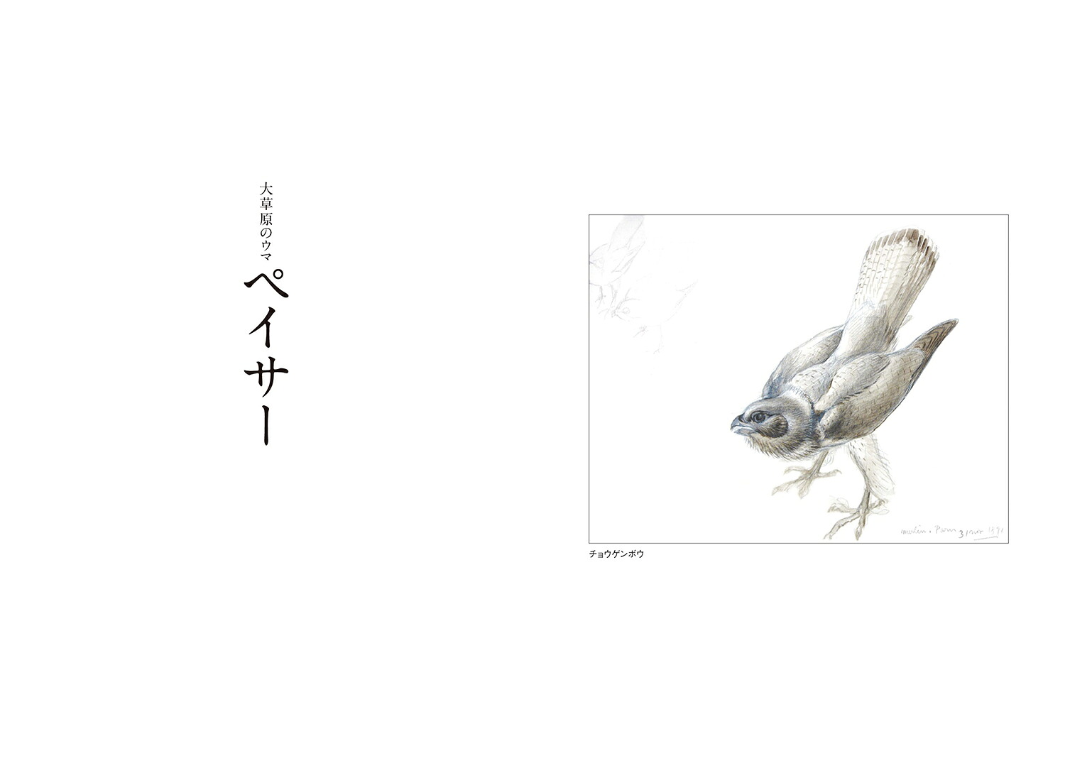 大草原のウマペイサー（図書館版）（図書館版）（シートン動物記［図書館版］）[アーネスト・T・シートン]