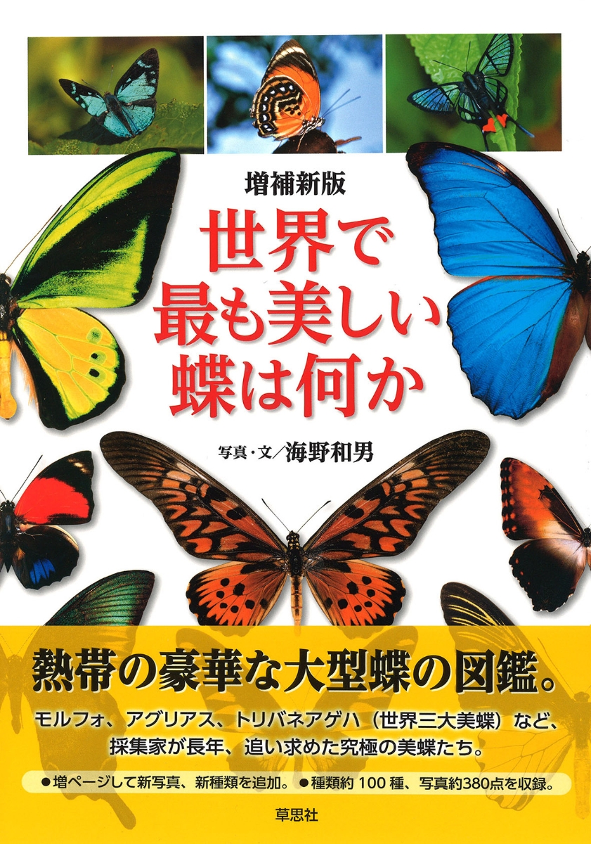 楽天ブックス 増補新版 世界で最も美しい蝶は何か 海野 和男 本