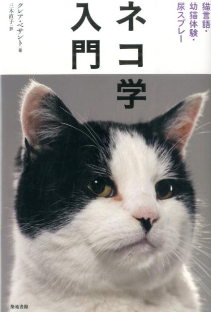 �ͥ�������ǭ���졦��ǭ�θ���Ǣ���ץ졼[���쥢���٥����]