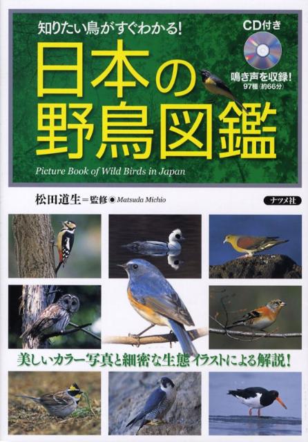 日本の野鳥図鑑　知りたい鳥がすぐわかる！　美しいカラー写真と細密な