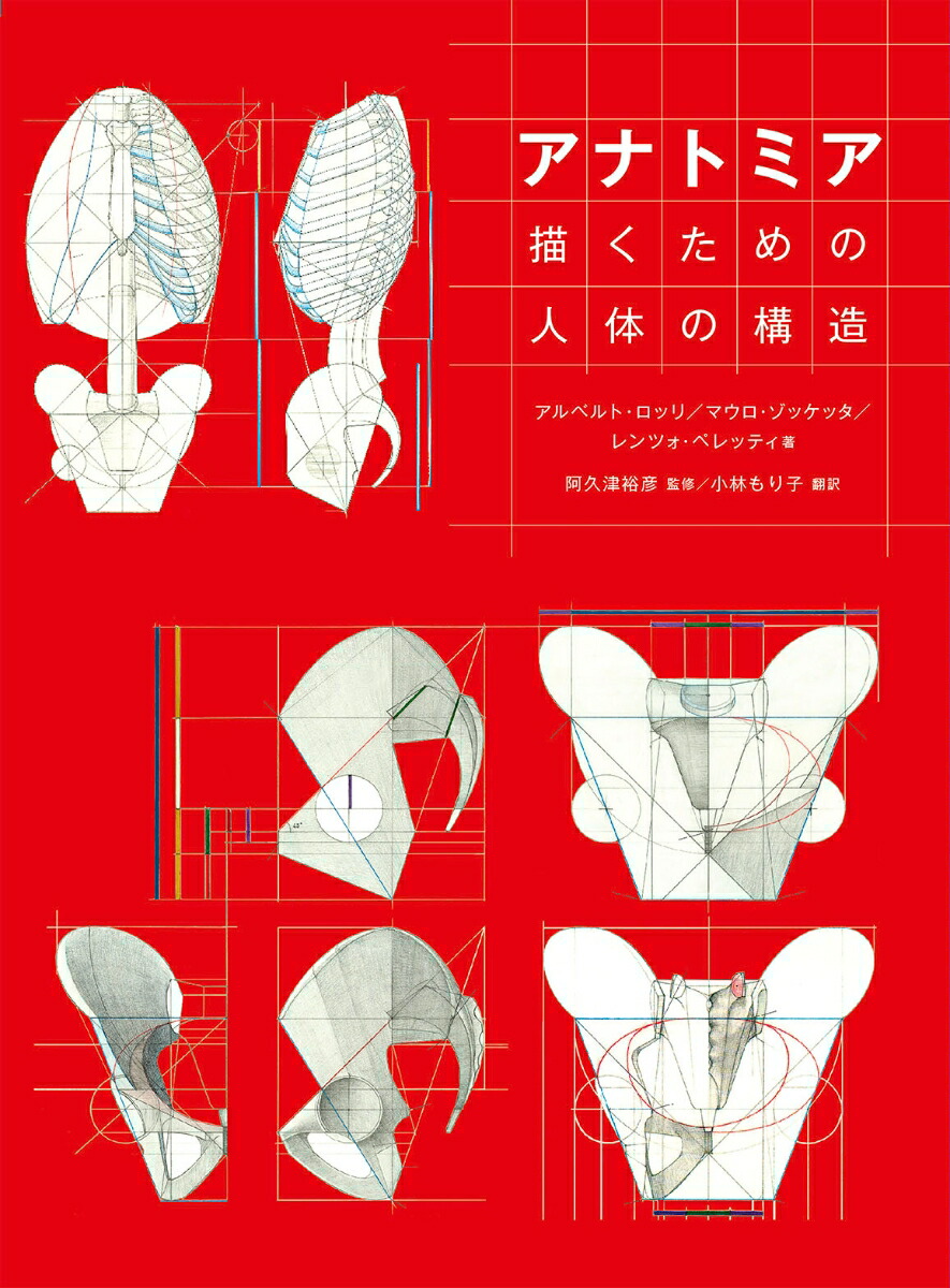 楽天ブックス: アナトミア 描くための人体の構造 - アルベルト・ロッリ - 9784766134834 : 本