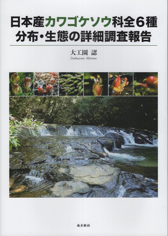 山野草、日本産クマガイソウ黄花系（素心）大の花芽1芽付き 素心日本クマガイソウ花1芽株 - 岩崎園芸ネットストア
