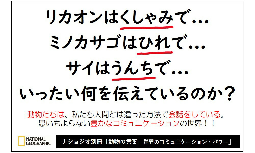 楽天ブックス 動物の言葉 驚異のコミュニケーション パワー ナショナル ジオグラフィック 9784863134843 本