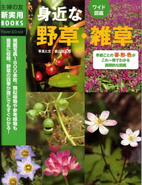 楽天ブックス 身近な野草 雑草 ワイド図鑑 季節ごとの姿 形 色がこれ一冊でわかる 菱山忠三郎 本