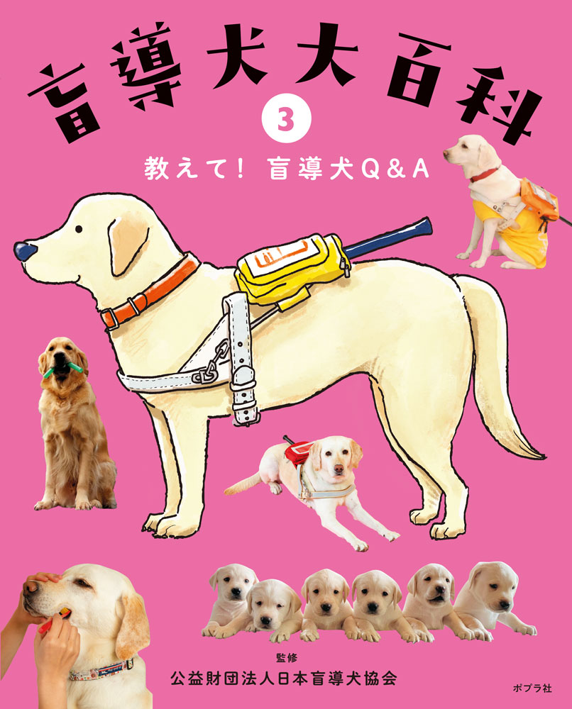 教えて！盲導犬Q&A画像