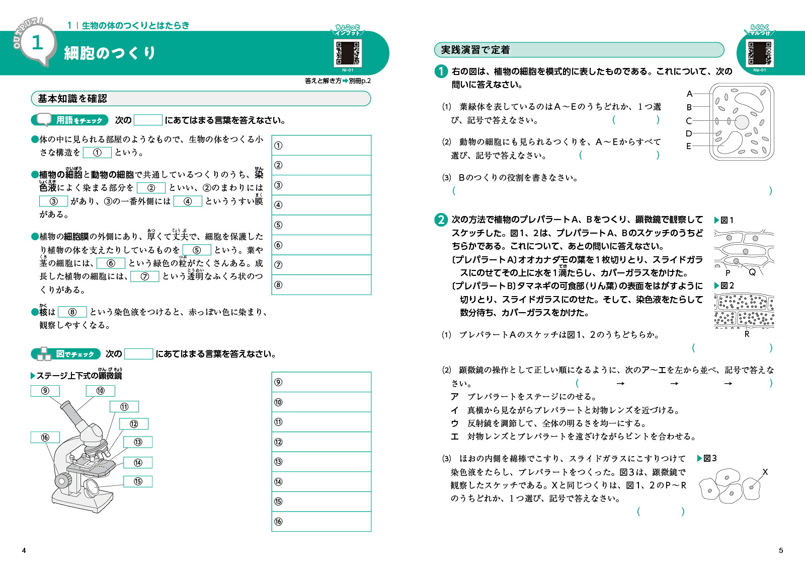 アウトプット専用問題集中2理科[文英堂編集部]