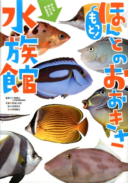❌水族館好き(❁ᴗ͈ˬᴗ͈)水族館の生き物 楽天ブックス: もっと！ほんとのおおきさ水族館 - 尾崎たまき