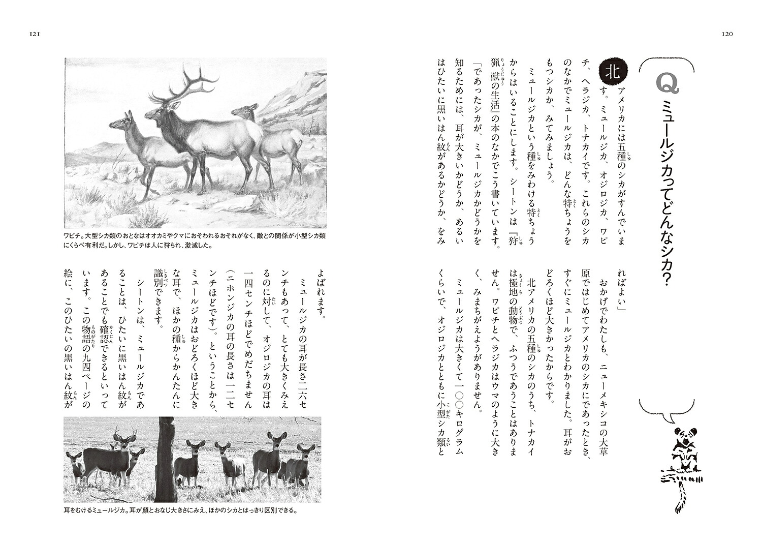サンドヒルのシカスタッグ［図書館版］（シートン動物記［図書館版］）[アーネスト・T・シートン]