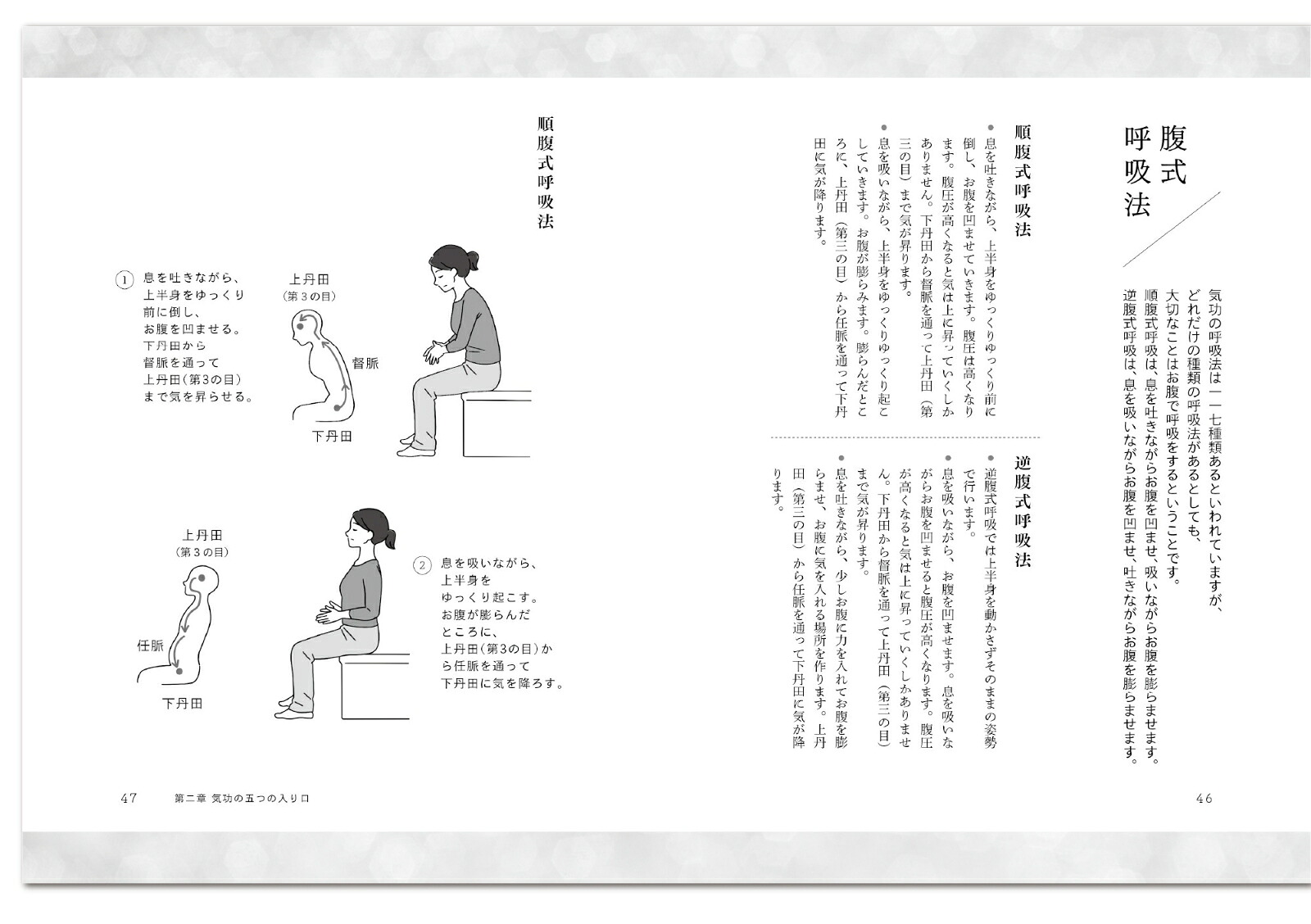 気功奥義解説書自分の健康を、自分で守るために大切なこと。（気功革命シリーズ）