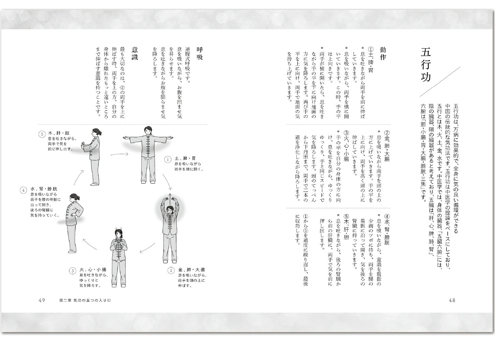 気功奥義解説書自分の健康を、自分で守るために大切なこと。（気功革命シリーズ）