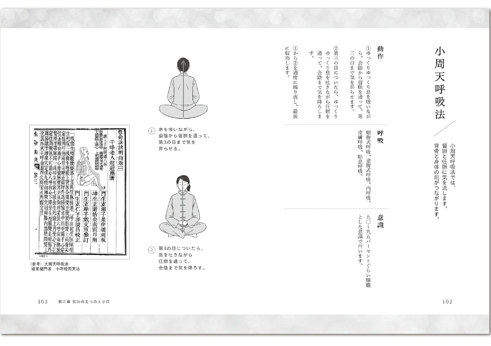 気功奥義解説書自分の健康を、自分で守るために大切なこと。（気功革命シリーズ）