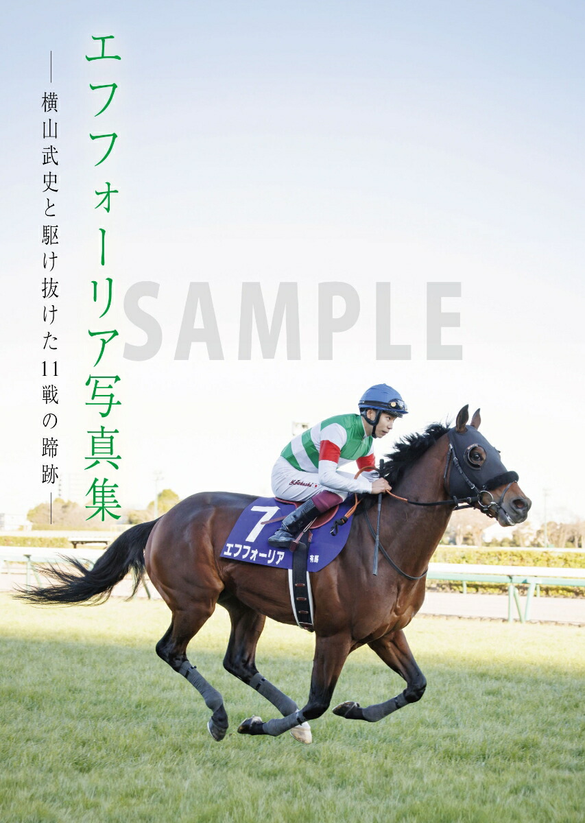 ���եե����ꥢ�̿������������ˤȶȴ����11������׏��[���ϲ��Խ���]