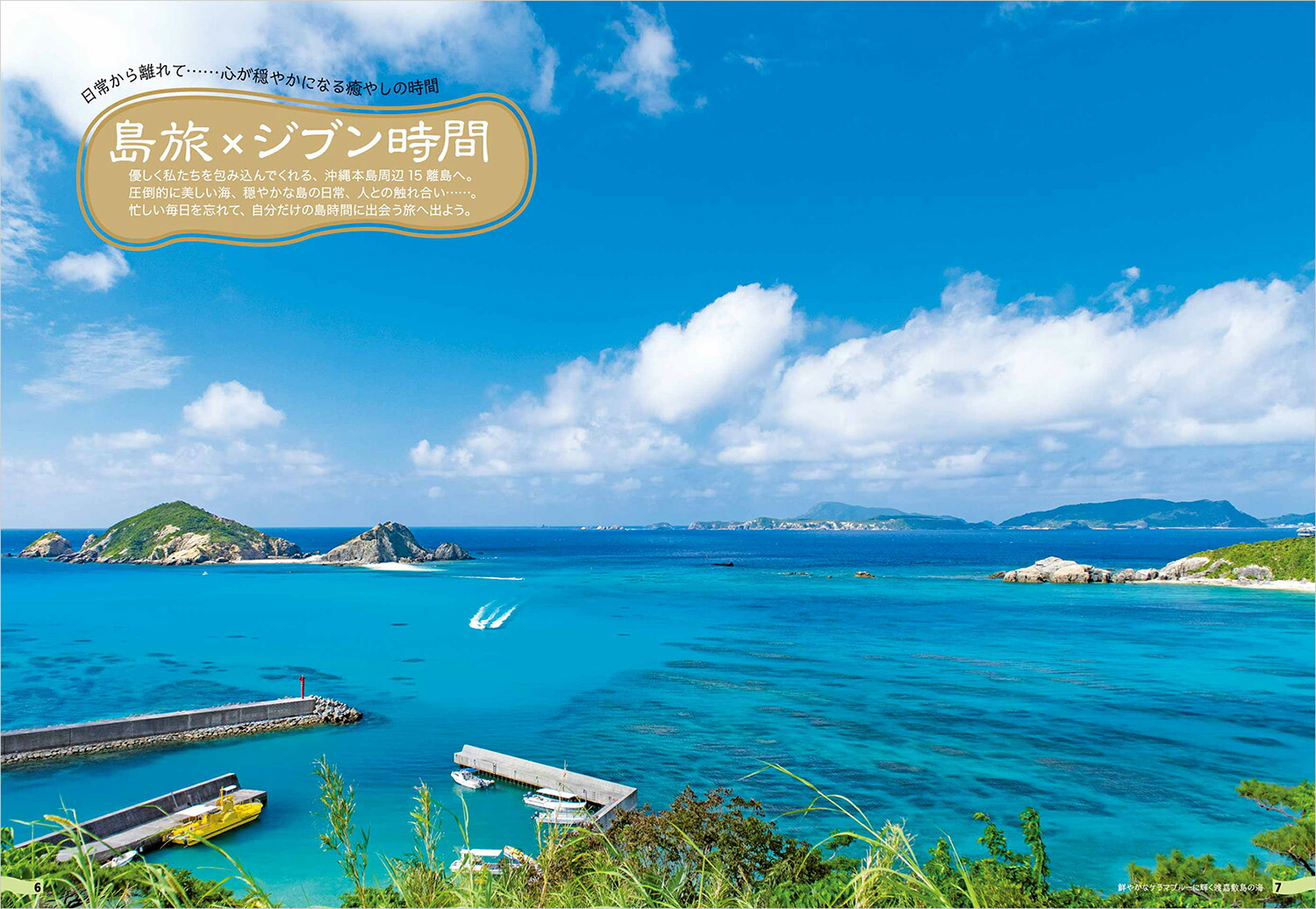 17�ϵ���⤭��JAPAN��ι�����������15Υ��[�ϵ���⤭���Խ���]