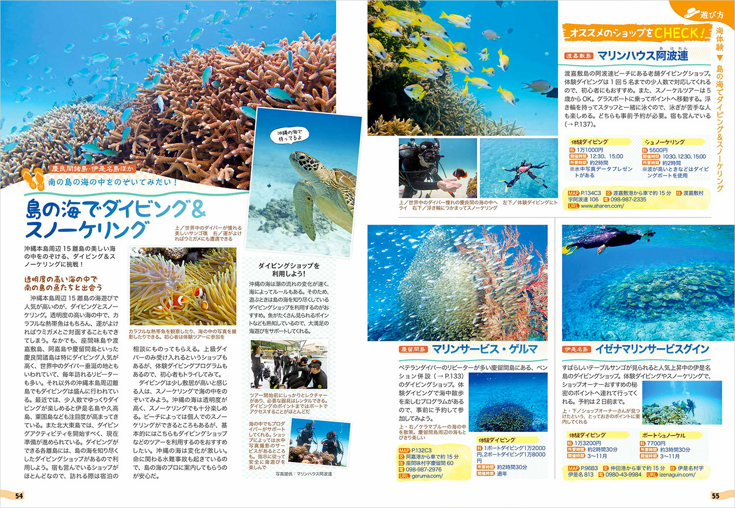 17�ϵ���⤭��JAPAN��ι�����������15Υ��[�ϵ���⤭���Խ���]