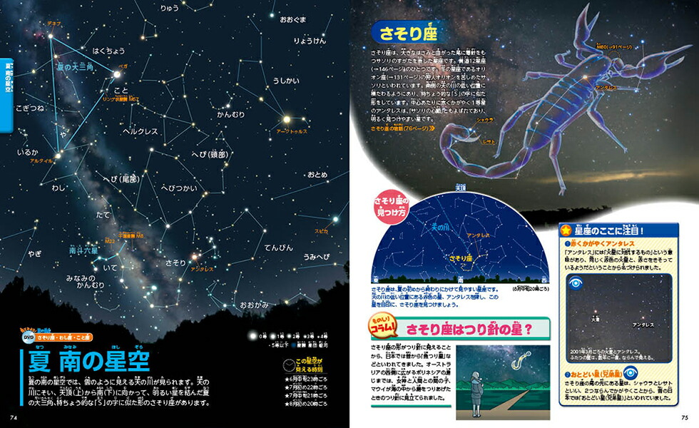 楽天ブックス 星と星座 講談社 本
