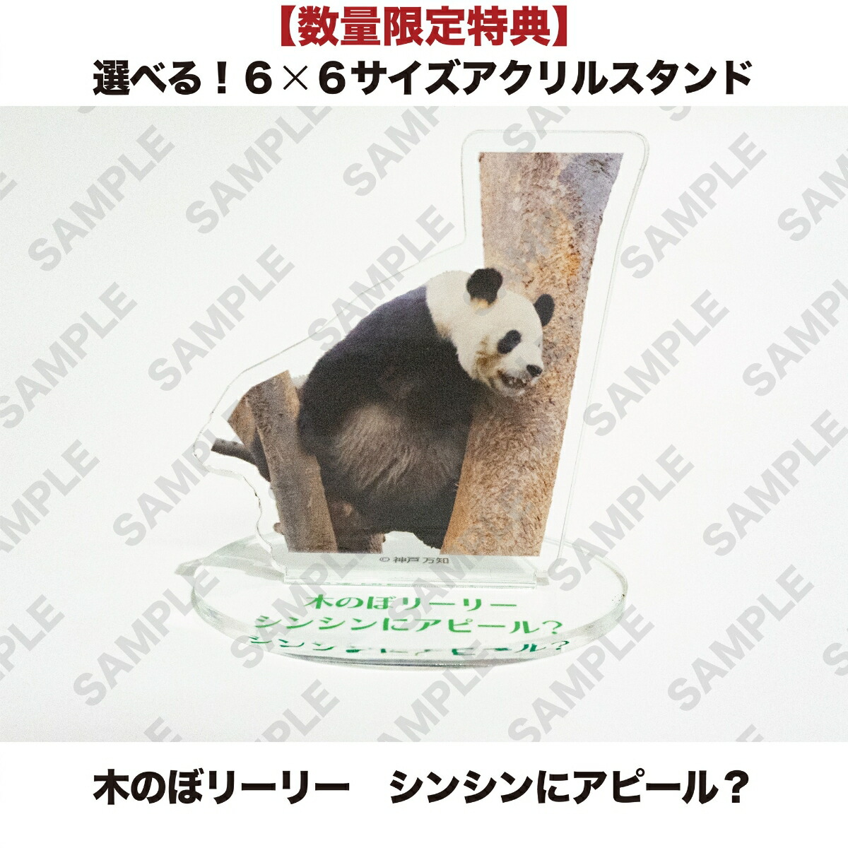 ŵۻפФ򤢤꤬ȤΥѥ꡼꡼ȥ󥷥󏢷ĤޤǤŨʥѥ򡪏(٤롪66륹ڤΤܥ꡼꡼󥷥˥ԡ롩)[]