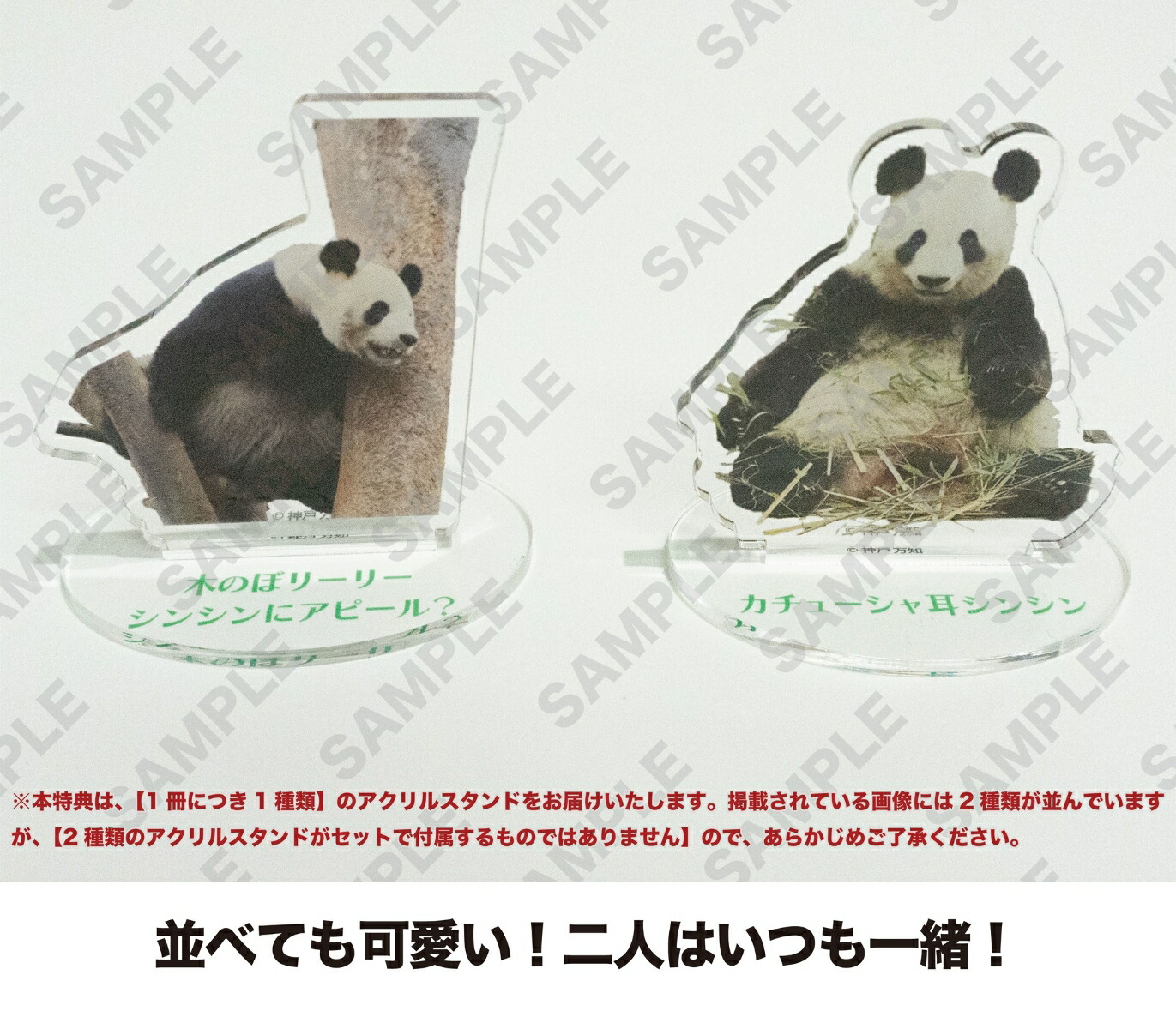 ŵۻפФ򤢤꤬ȤΥѥ꡼꡼ȥ󥷥󏢷ĤޤǤŨʥѥ򡪏(٤롪66륹ڤΤܥ꡼꡼󥷥˥ԡ롩)[]