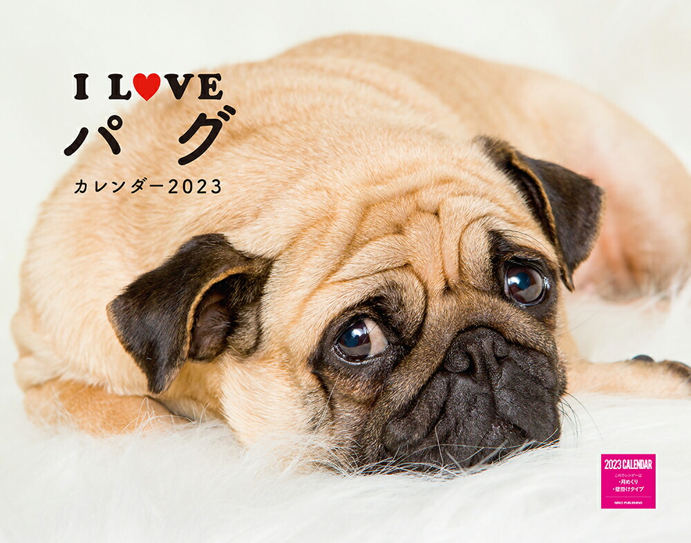 楽天ブックス: I LOVE パグカレンダー2023 - 9784777094936 : 本