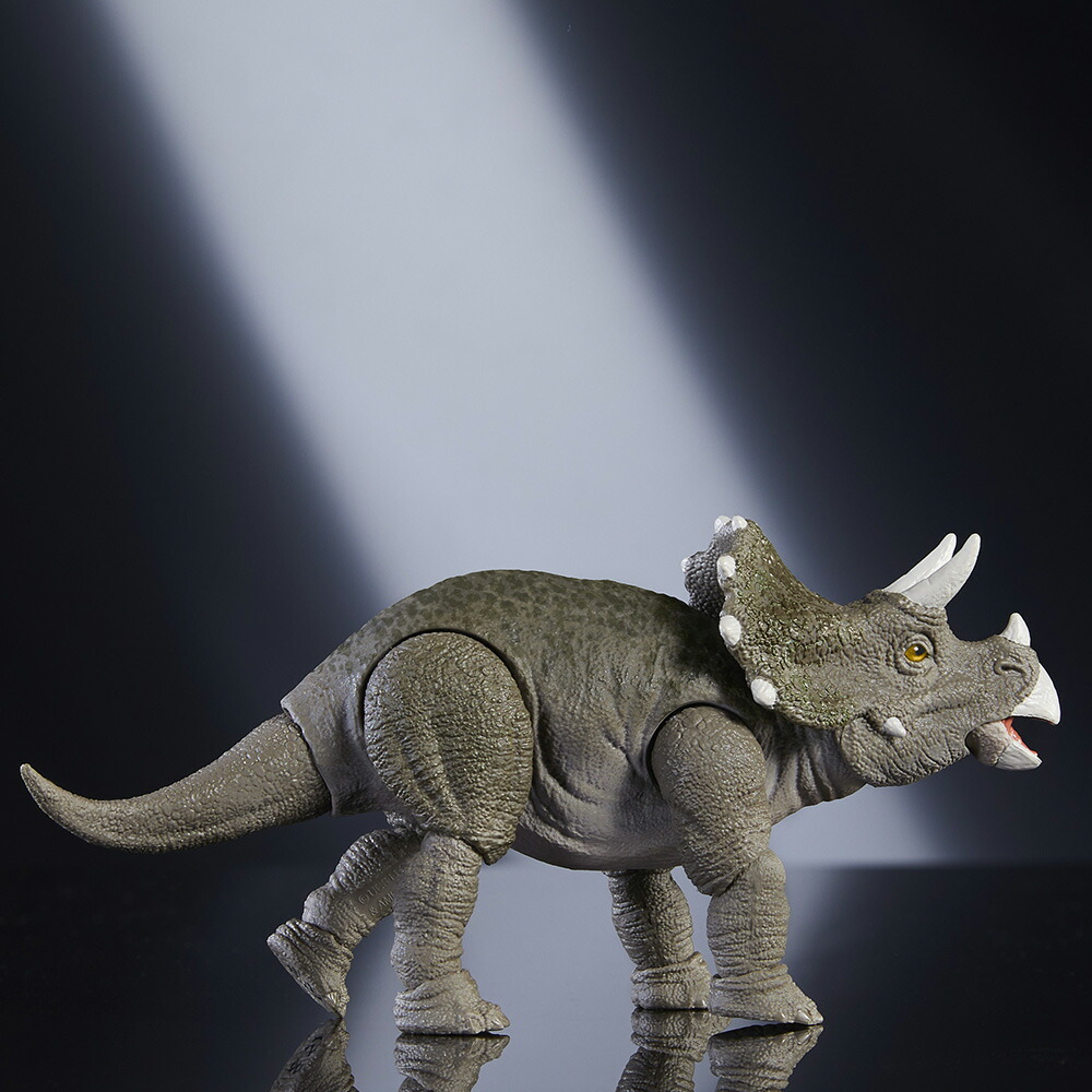 ޥƥ른饷å(JURASSICWORLD)ϥɥ쥯ȥꥱȥץҶե奢εĹ:16.5cm8Ф饰졼JDJ07