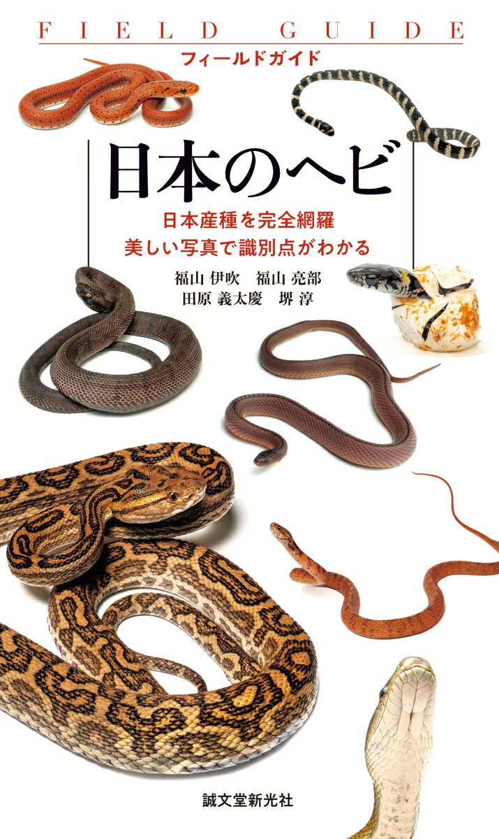 ܤΥإܻ̿Ǽ狼ʥեɥɡ[ʡ˿]