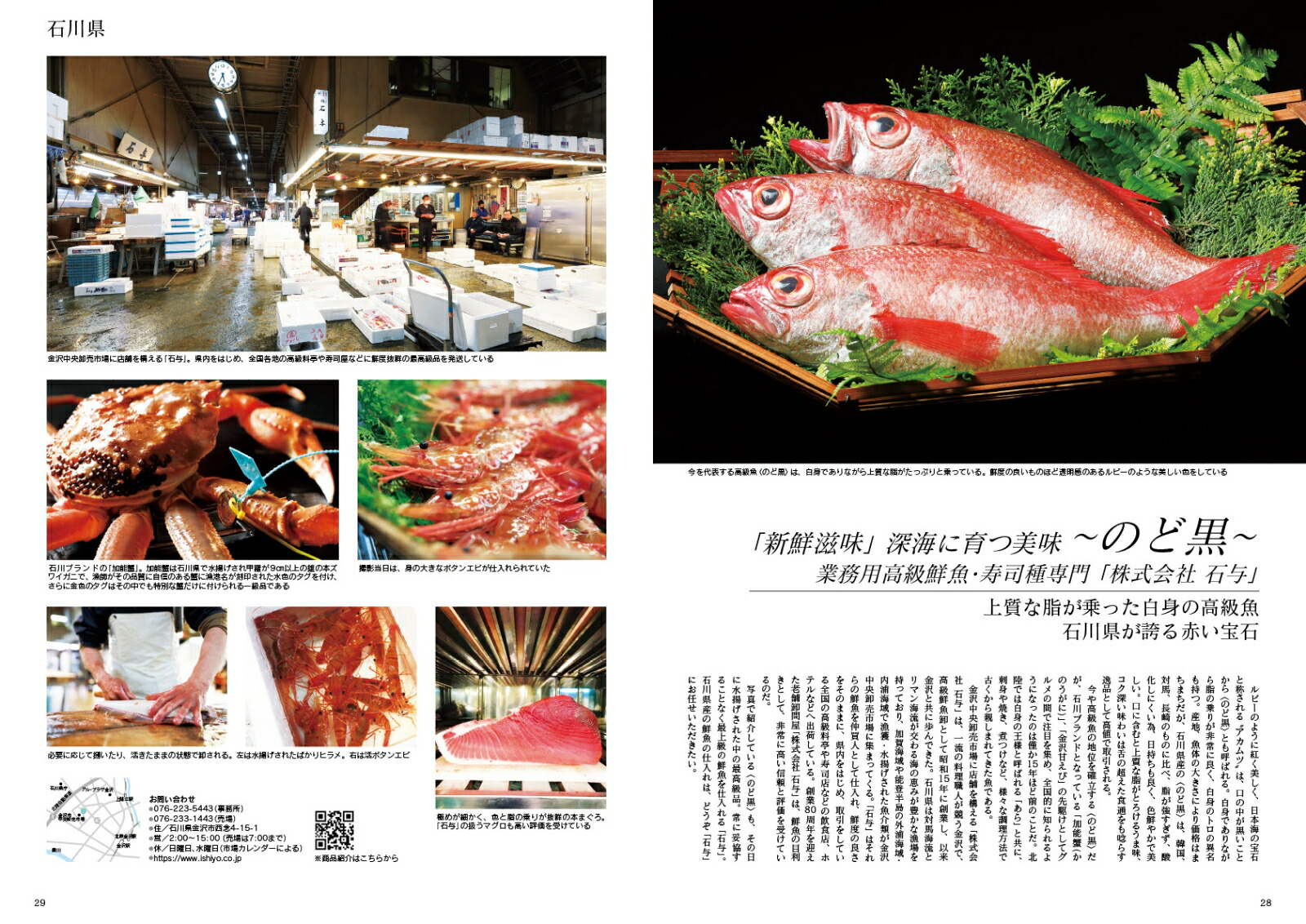 JapanBrandCollection2022ܤΥץߥ࿩֥ɡʥǥѥå