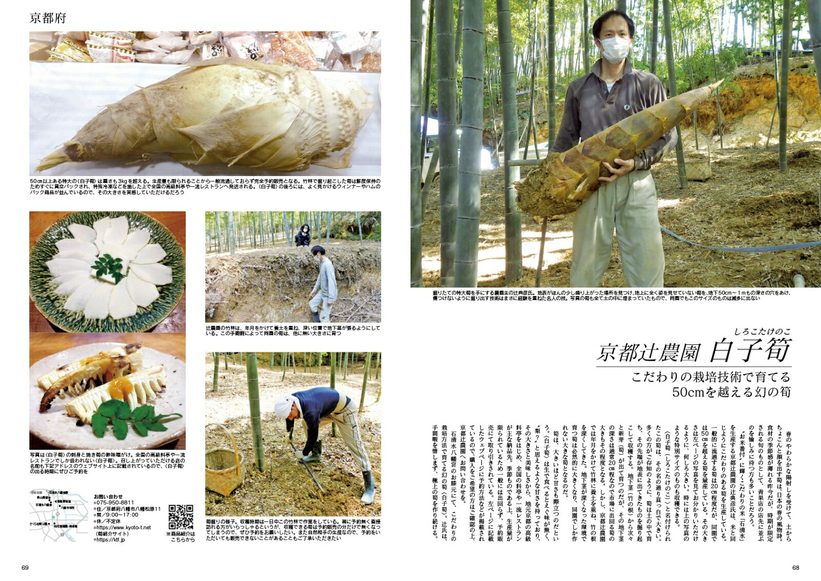 JapanBrandCollection2022ܤΥץߥ࿩֥ɡʥǥѥå