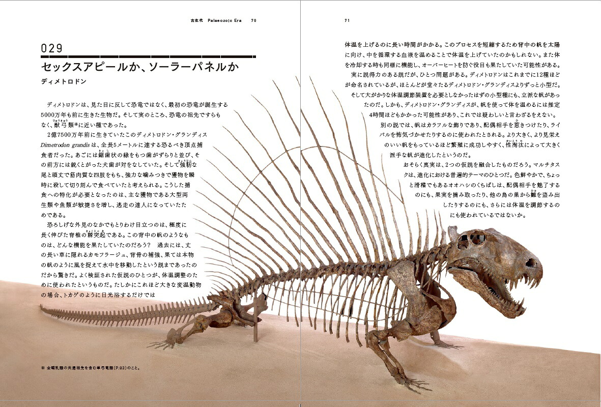 楽天ブックス 世界を変えた100の化石 ポール D テイラー 本