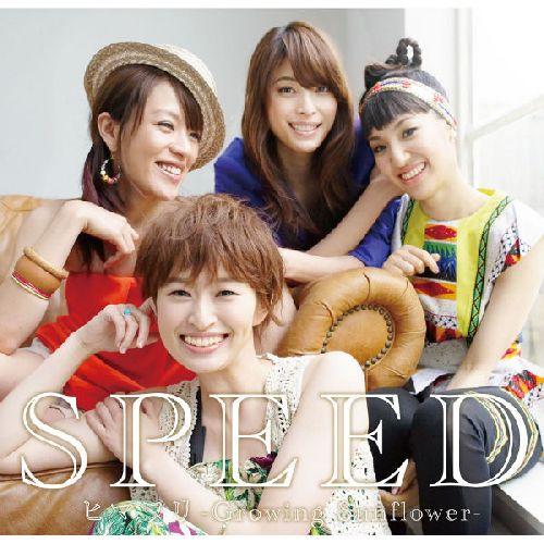 楽天ブックス: ヒマワリ -Growing Sunflower- - SPEED