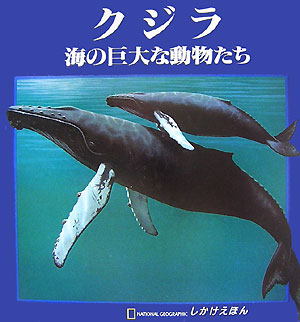 鳤εưʪʤۤ[ޤ]