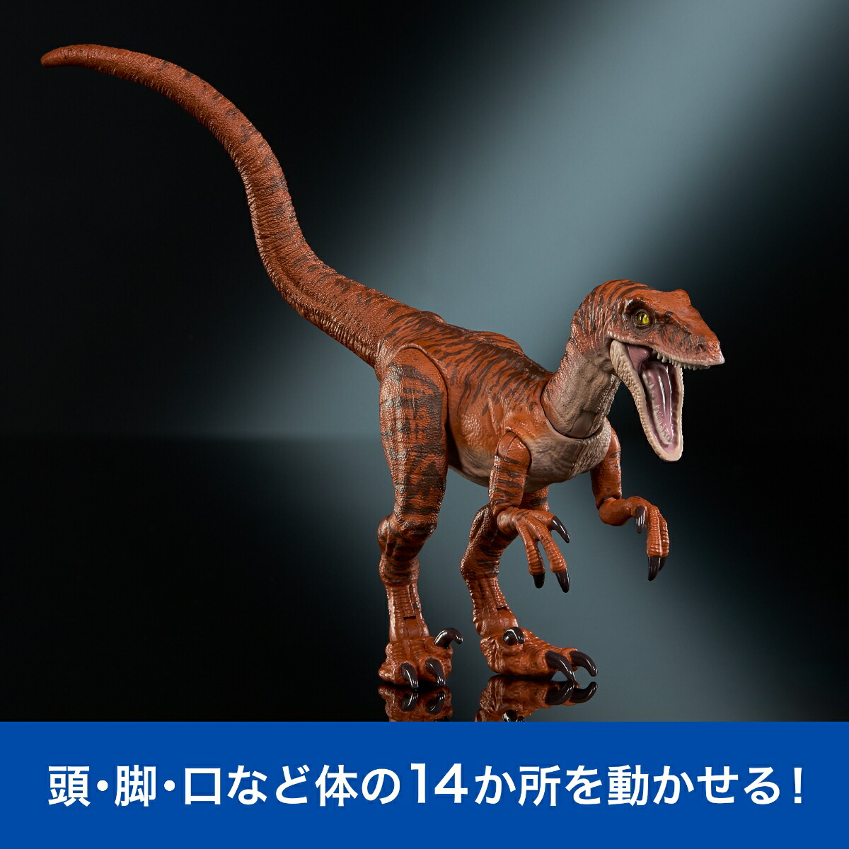 �ޥƥ른��饷�å�����(JURASSICWORLD)�ϥ��ɥ��쥯��������������ץȥ륿�������Ҷ������ե����奢��ε���������Ĺ:��19.8cm8�Ф��饪���JDJ09