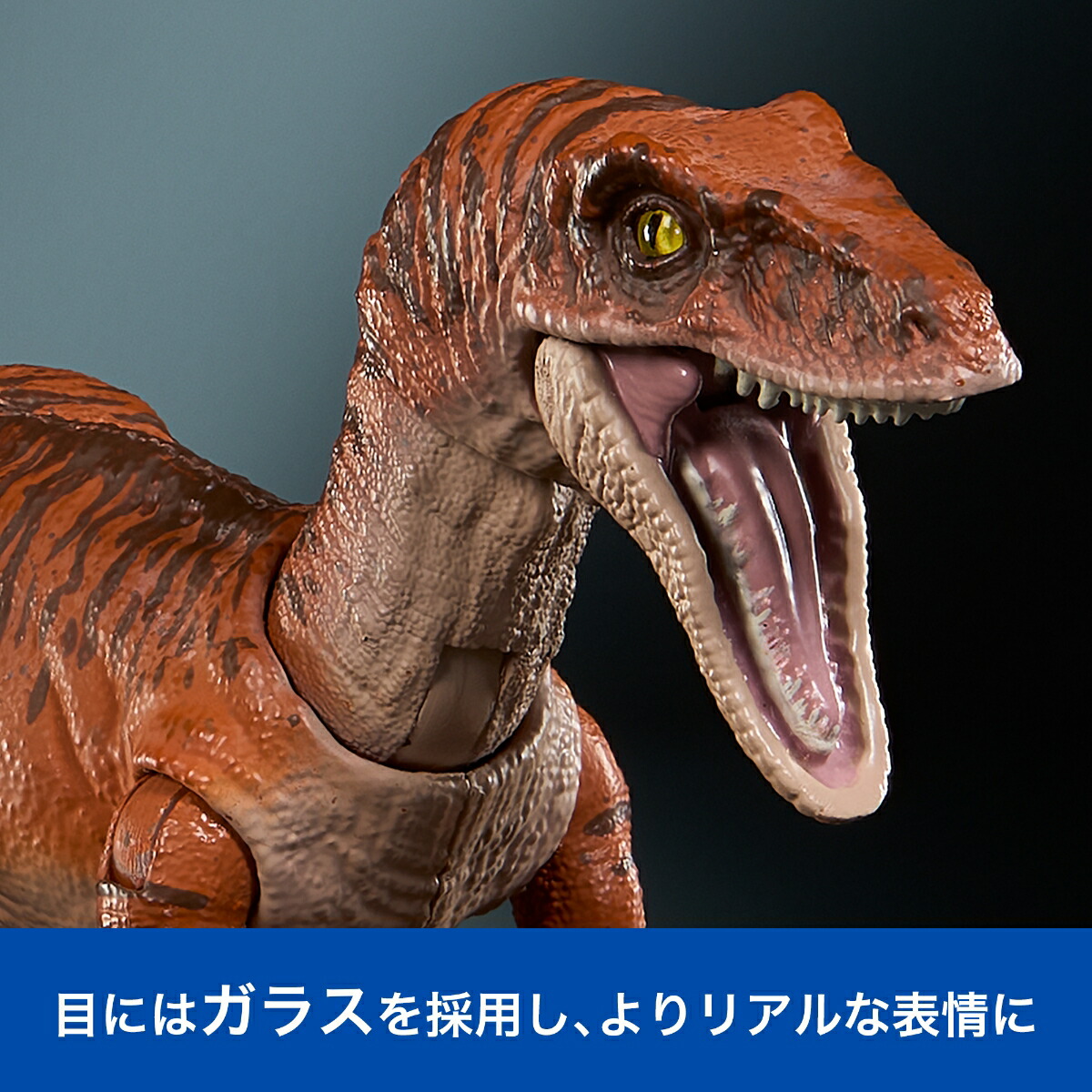 �ޥƥ른��饷�å�����(JURASSICWORLD)�ϥ��ɥ��쥯��������������ץȥ륿�������Ҷ������ե����奢��ε���������Ĺ:��19.8cm8�Ф��饪���JDJ09