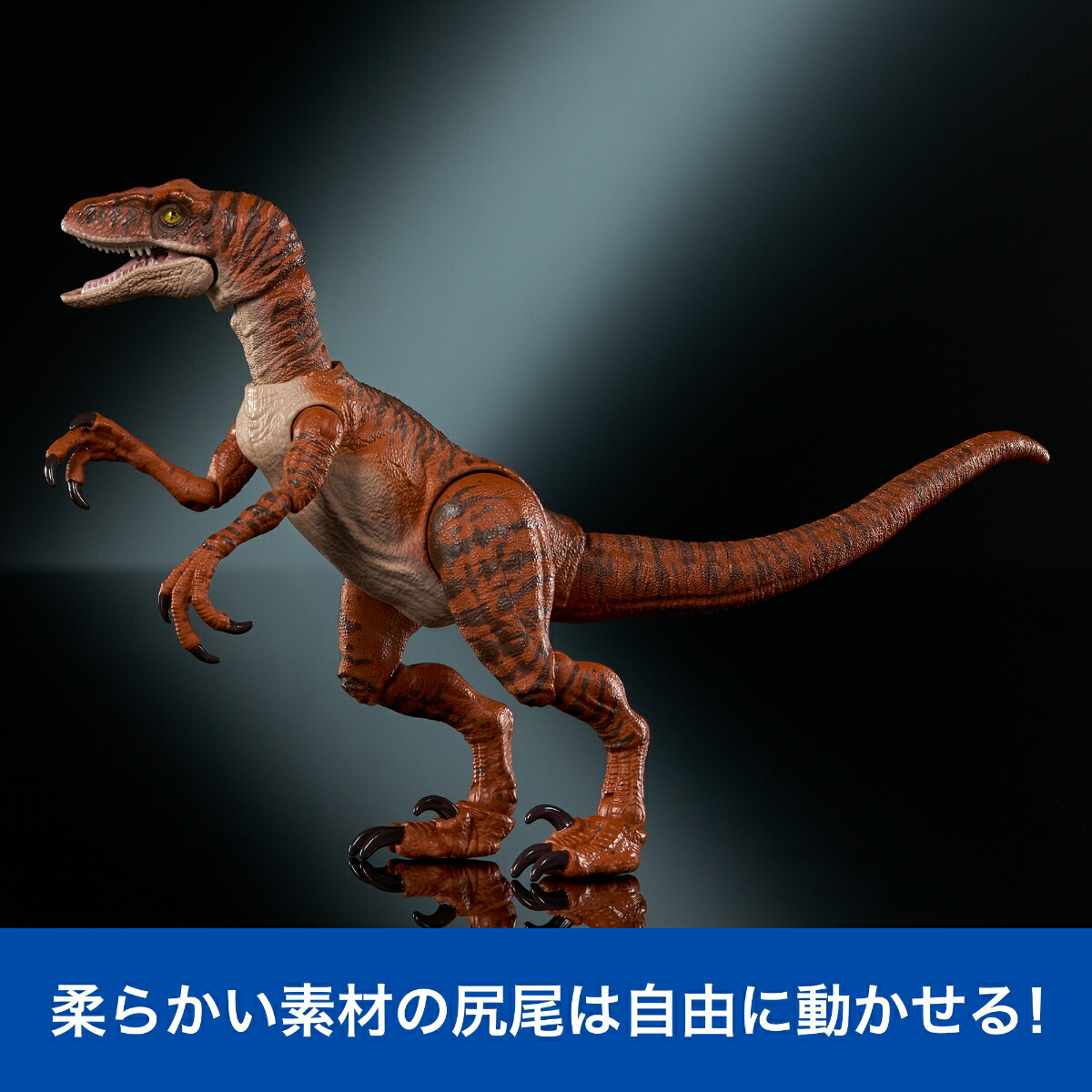 �ޥƥ른��饷�å�����(JURASSICWORLD)�ϥ��ɥ��쥯��������������ץȥ륿�������Ҷ������ե����奢��ε���������Ĺ:��19.8cm8�Ф��饪���JDJ09