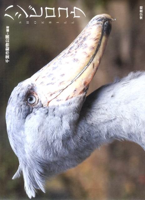 楽天ブックス: ハシビロコウ - 千葉市動物公園 - 9784487804993 : 本