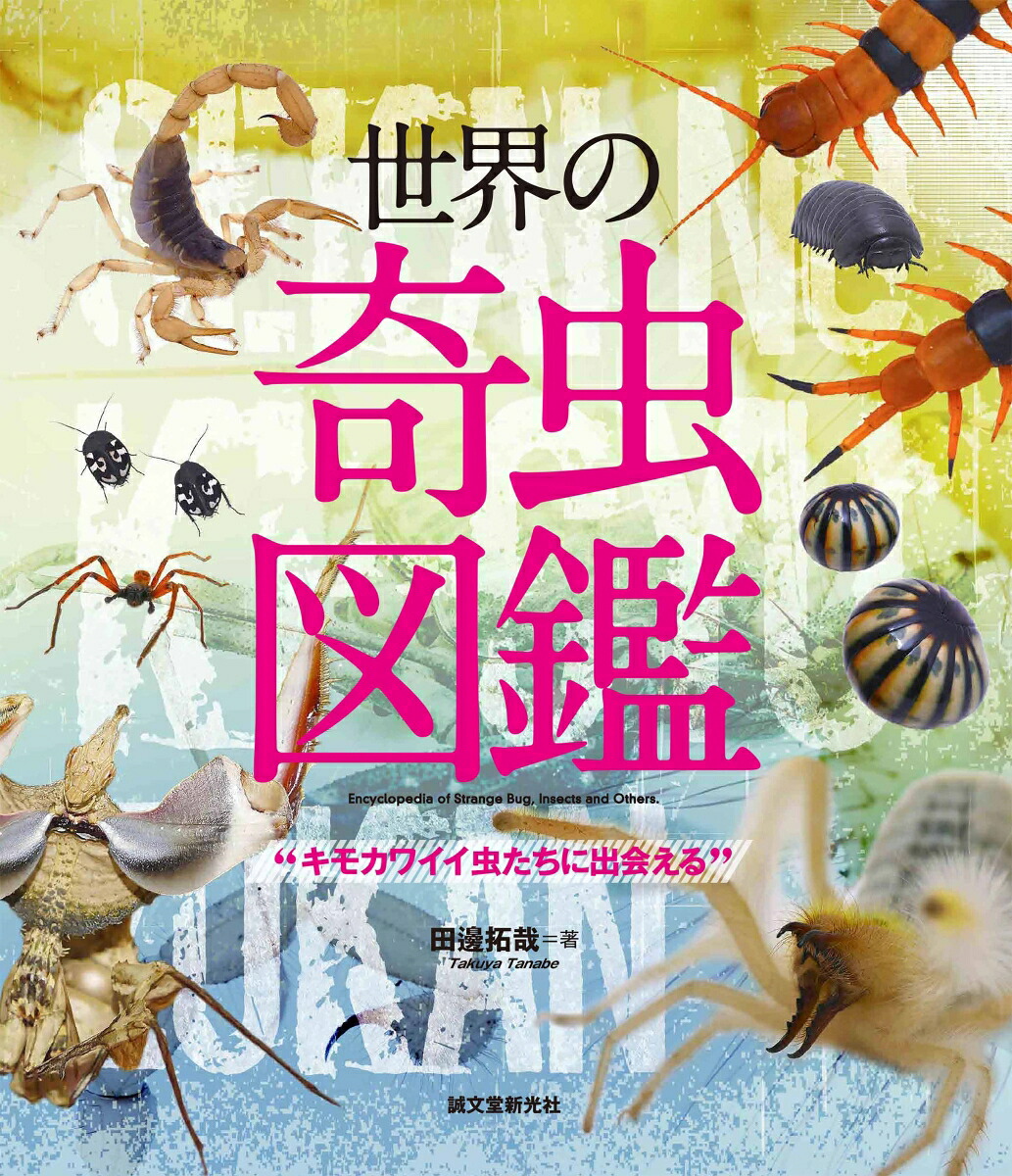 楽天ブックス 世界の奇虫図鑑 キモカワイイ虫たちに出会える 田邊 拓哉 本 楽天ブックス 世界の奇虫図鑑 キモカワイイ虫たちに出会える 田邊 拓哉 本