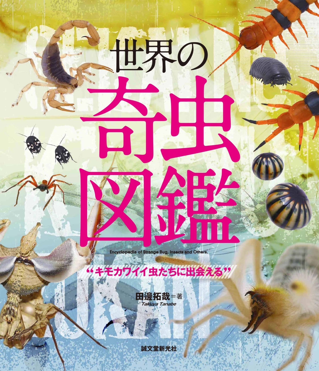 楽天ブックス 世界の奇虫図鑑 キモカワイイ虫たちに出会える 田邊 拓哉 本