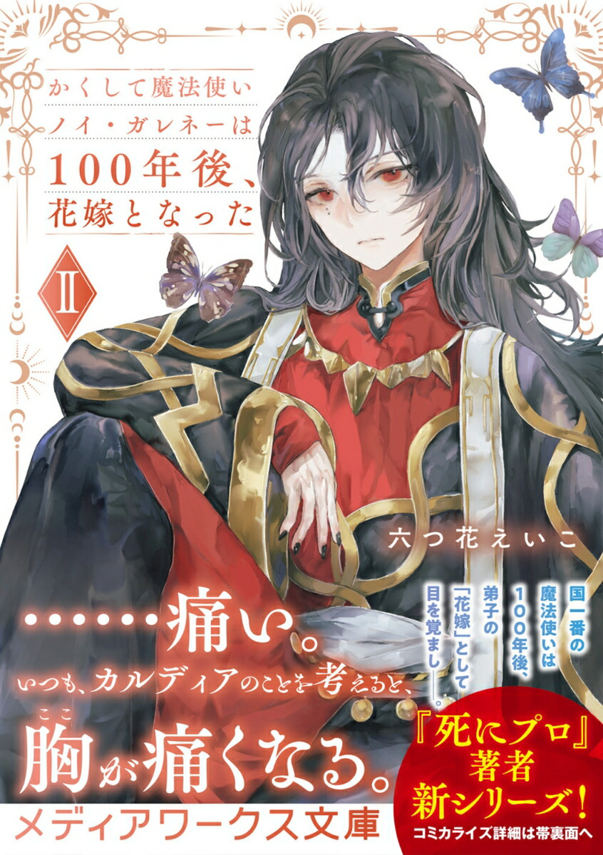 ˡȤΥ͡100ǯ塢ֲǤȤʤäII2ˡʥǥʸˡ[ϻĲ֤]