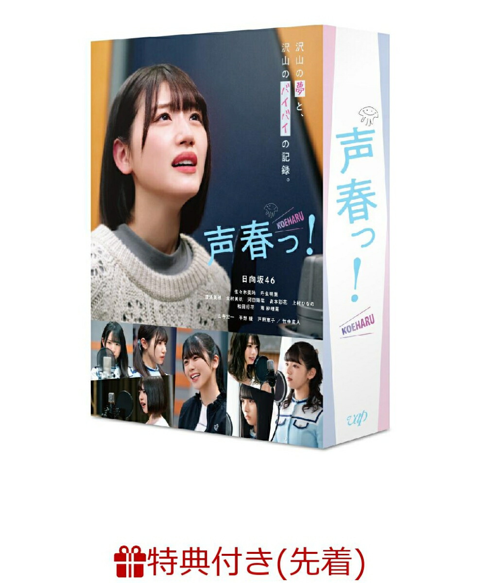 楽天ブックス 先着特典 声春っ Dvd Box オリジナルa4クリアファイル 佐々木美玲 Dvd