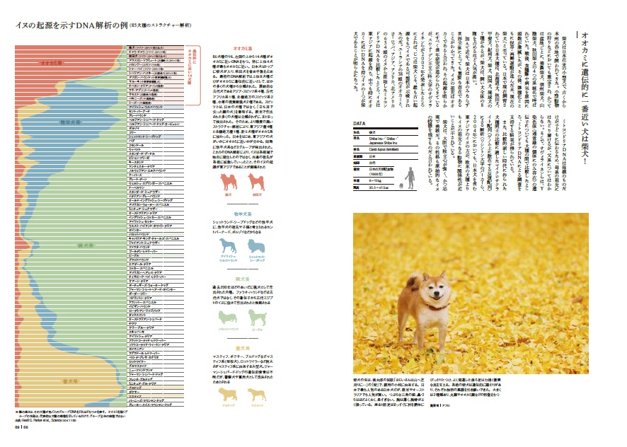 楽天ブックス オオカミと野生のイヌ 菊水健史 本