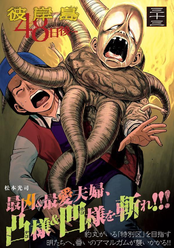 �����48����ġ�33�ˡʥ��ޥ�KC���ڥ�����[���ܸ���]