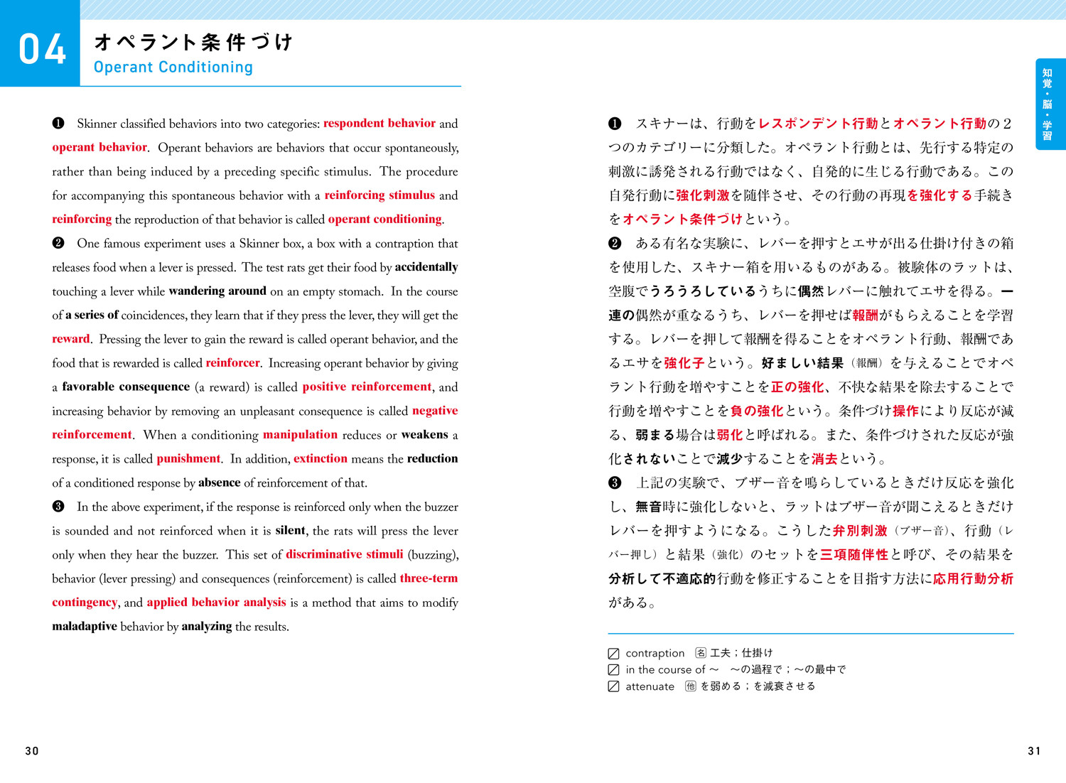 ǧա׾Ρرкñ콸schemaʥޡ[ǥ륿ץ饹Խ]